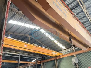 Sửa Cẩu Trục Tại Long An